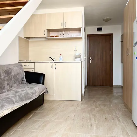 Cozy Gerber * Sunny Beach